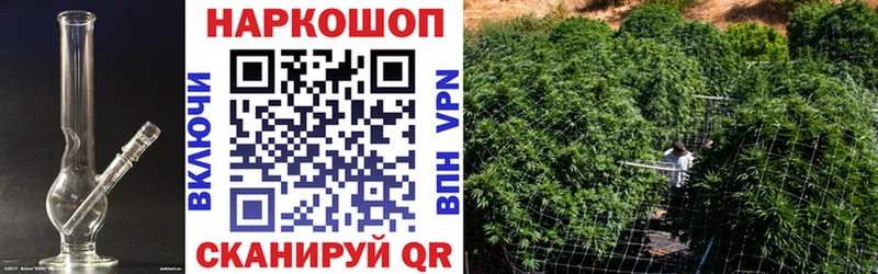 Конопля Лысково