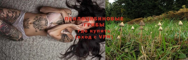 эйфоретик Горняк
