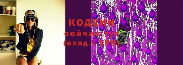 гидра Горно-Алтайск