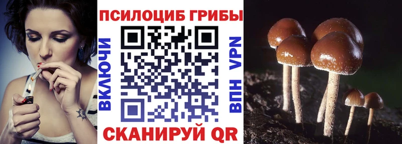 Купить Лысково Псилоцибиновые грибы мухоморы